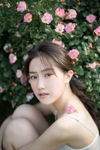 亮剑电视剧免费观看完整版