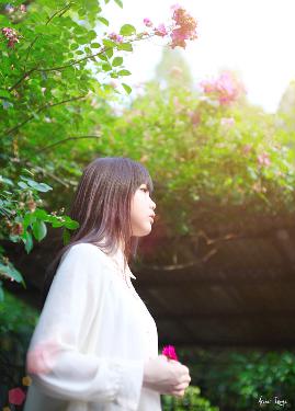 菠萝视频在线观看电视剧最新版