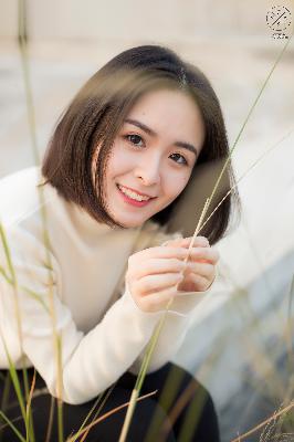 少年白马醉春风 电视剧