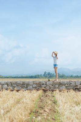 不惑之旅全集免费观看完整版