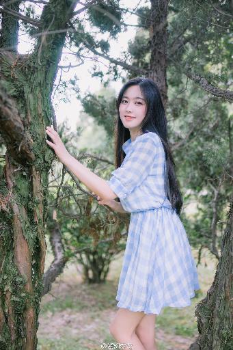 似锦电视剧免费观看完整版高清