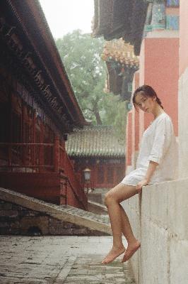 楚乔传电视剧免费观看全集