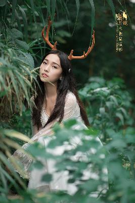 树影迷宫电视剧免费高清观看全集