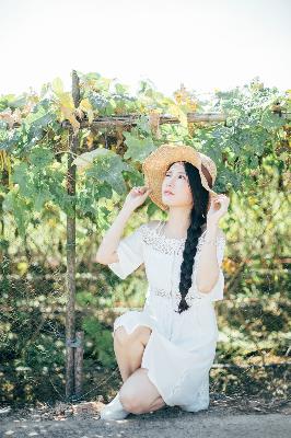 成品游戏网站入口免费游戏大全