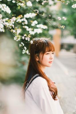 斗破苍穹在线观看全集免费播放