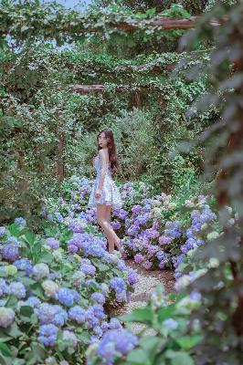 长风渡电视剧全集免费播放