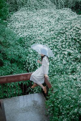 雪中悍刀行2第二部在线播放