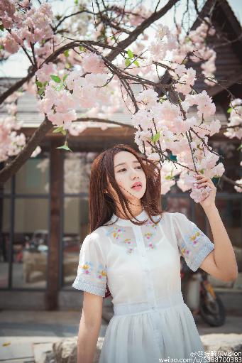 老牛影院在线播放免费高清电视剧